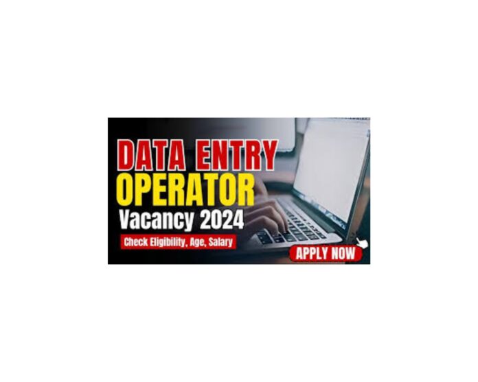 Data Entry Computer Jobs in Government Sector 2024