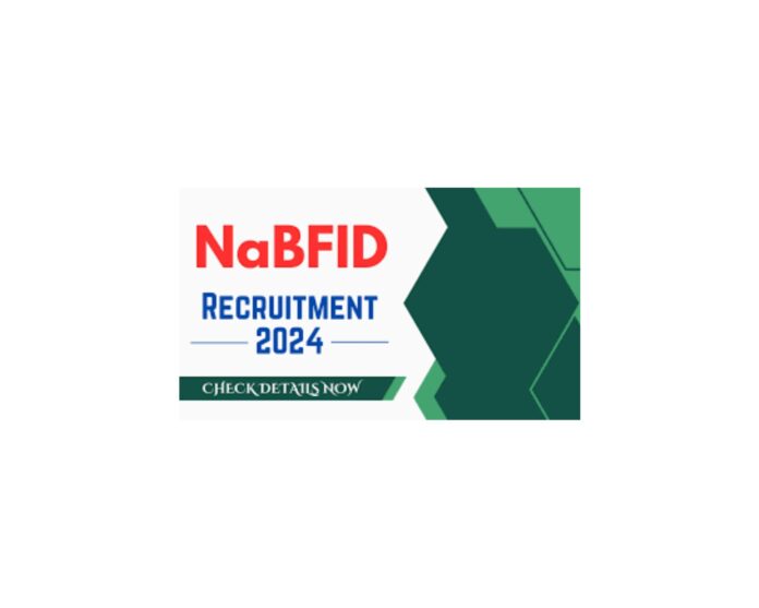 NaBFID Recruitment 2025 – Officer Posts