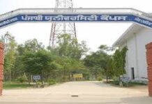 How to Apply Punjabi University Correction in all DMC with Degree of one Course ?