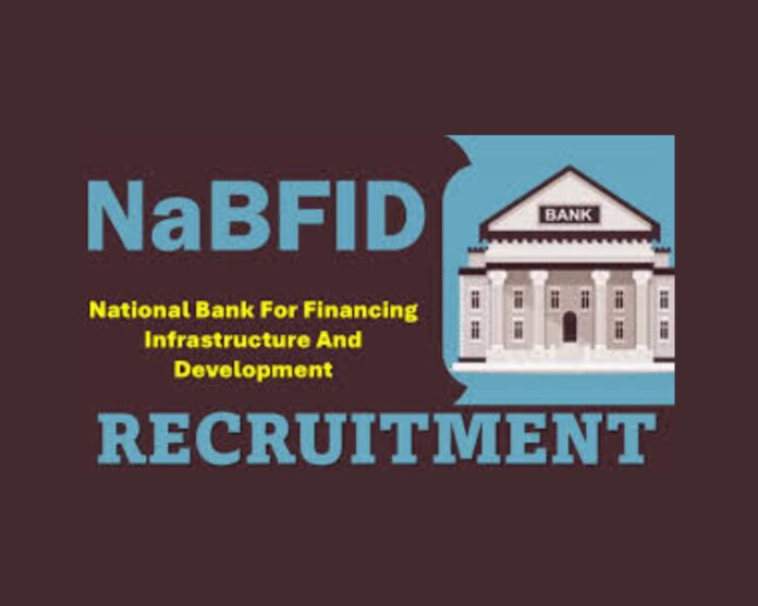 National Bank for Financing Infrastructure and Development (NaBFID) Recruitment 2025
