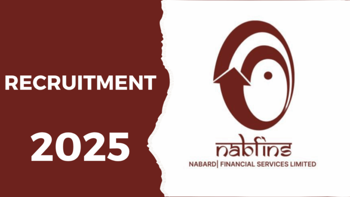 The online application form for the NABFINS CSO Vacancy 2025 can be found on the official careers website.