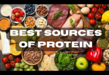 What are the sources of Protein? Protein is one of the most essential nutrients required by the human body.