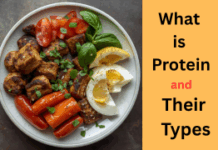 What is Protein and Their Types? Protein is one of the most essential nutrients required by the human body.